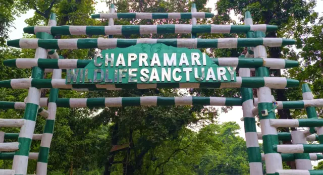 উত্তরবঙ্গের দর্শনীয় স্থান Chapramari Wildlife Sanctuary